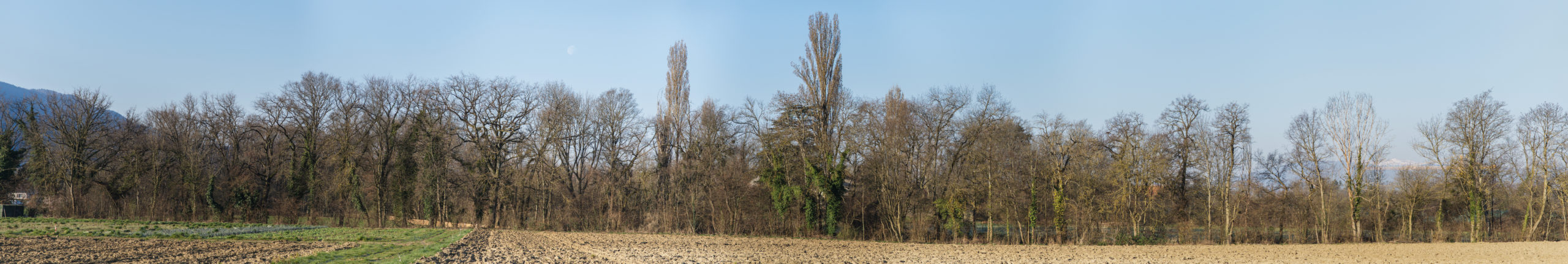 Thierry-Winkler-_TWI0562-Panorama